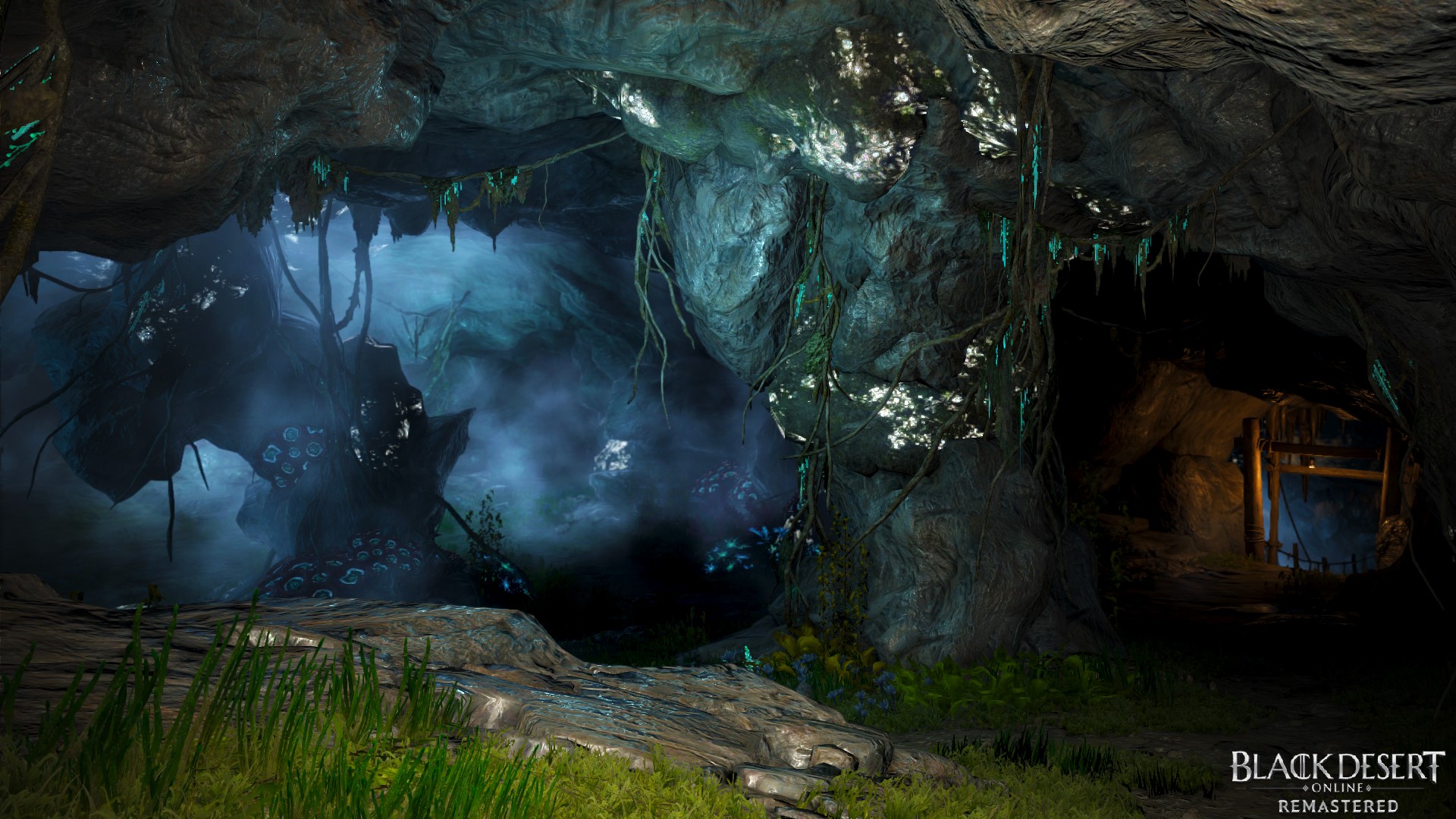 BDO Plan para los próximos meses