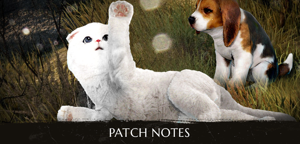 BDO Notas del parche 2/10/19